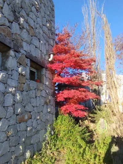 Casa en alquiler en Villa Giardino - foto 2