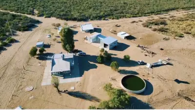 Campo ganadero en provincia de la pampa